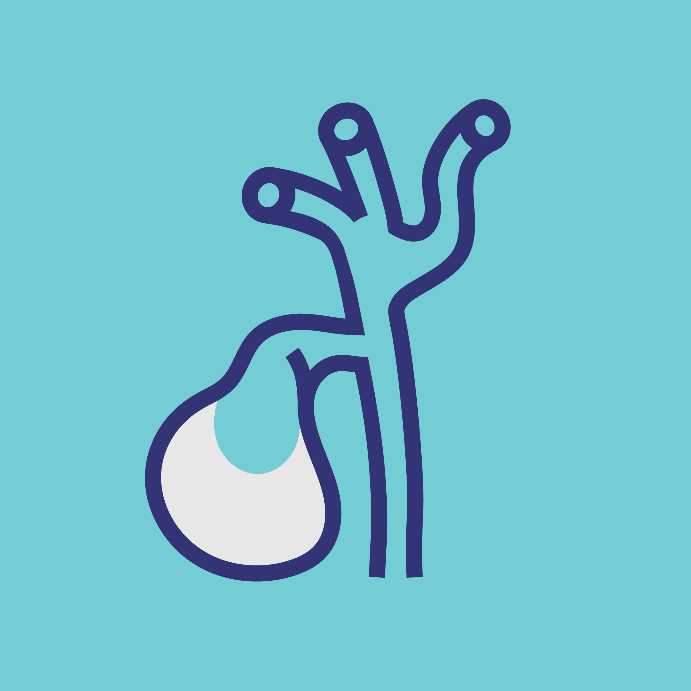 A medical professional performing an abdominal ultrasound to investigate gallstones and gallbladder function as part of a personalized assessment.