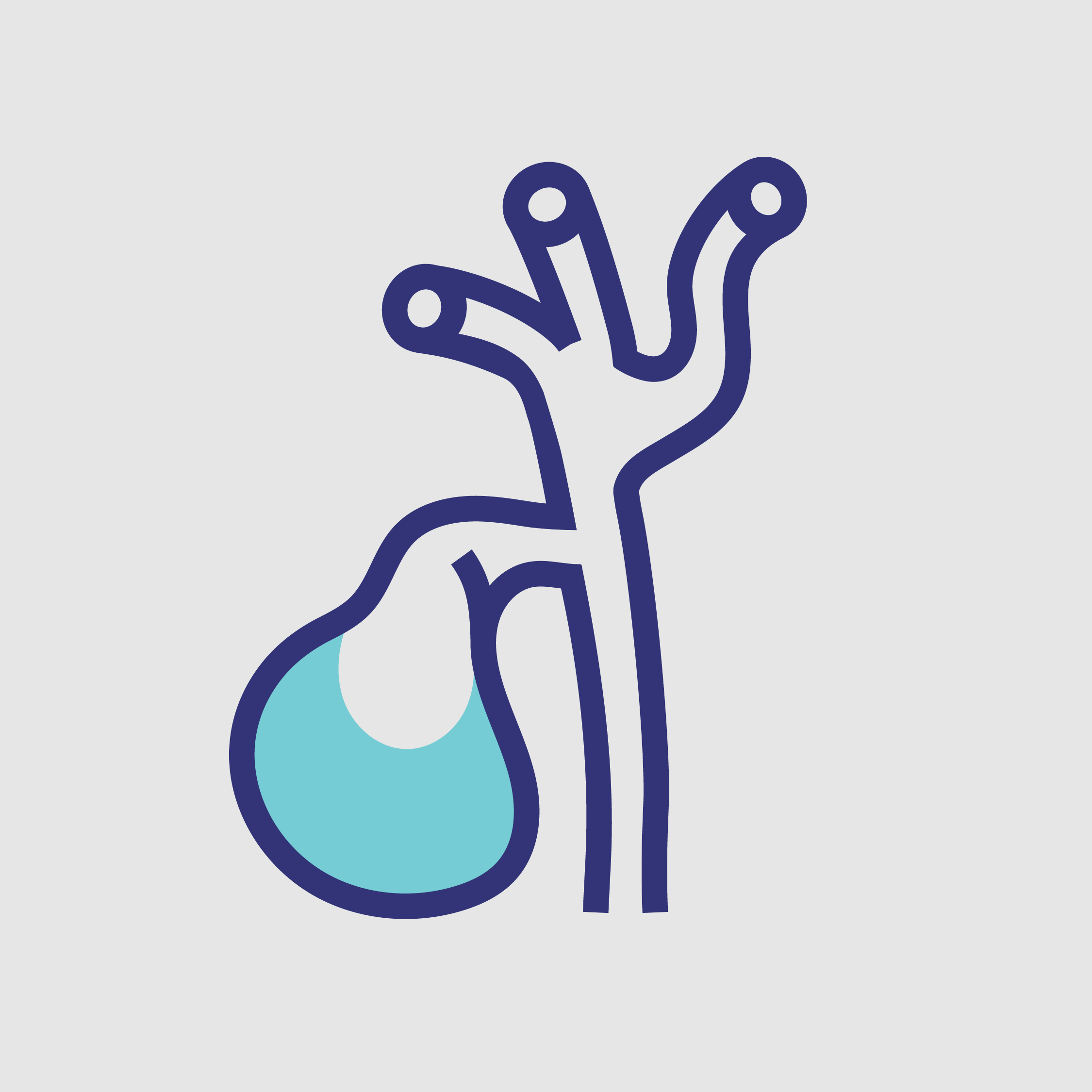 A surgeon reviewing ultrasound results to determine the best treatment for gallstones, gallbladder polyps, or gallbladder dysfunction.
